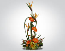 Arreglo Floral Especial E-3